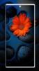 Flower Wallpapers screenshot 1