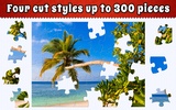 Jigsaw Puzzle Bug screenshot 8