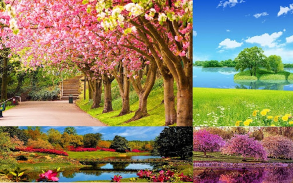 Spring Wallpaper - Preview 2
