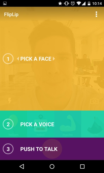 FlipLip - Preview 2