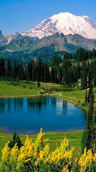Landscape Live Wallpaper - Preview 5
