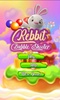 Rebbit Bubble Shooter screenshot 1