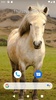 Horse Wallpaper HD screenshot 4