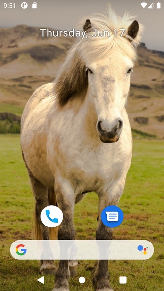 Horse Wallpaper HD - Preview 4
