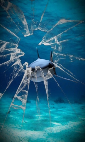 Killer shark live wallpaper - Preview 5