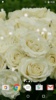 White Rose Live Wallpaper HD screenshot 1