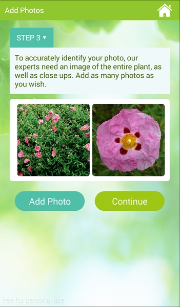 GardenAnswers - Preview 3