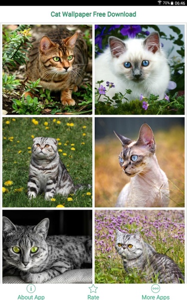 Cat and Kitten Wallpaper - Preview 3