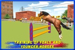Police Horse Training 3D screenshot 8