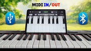 Real Piano For Pianists screenshot 10