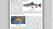 Fly Fishing Encyclopedia screenshot 2