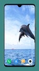 Dolphin Wallpaper HD screenshot 10