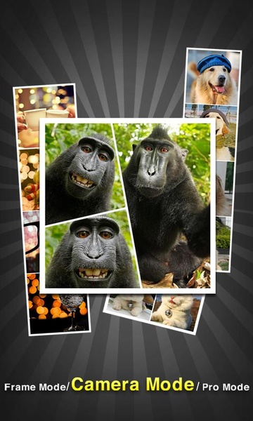 InstaPicFrame - Preview 2
