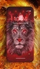 Lion Wallpaper screenshot 2