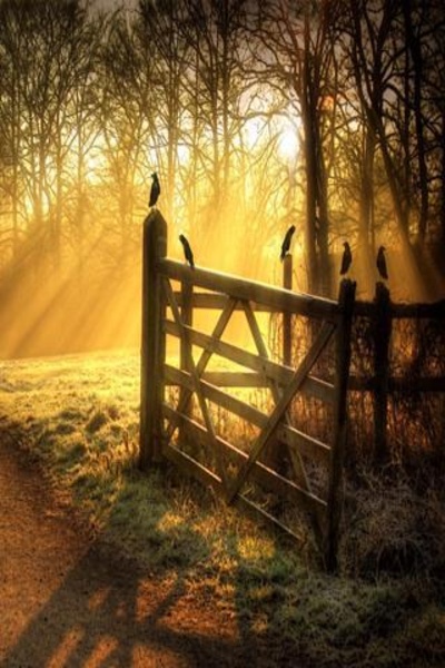 Sunrise Wallpapers HD - Preview 1