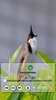 Birds Calls Sounds - Relaxing screenshot 3