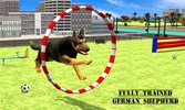 City Hero Dog Rescue screenshot 12