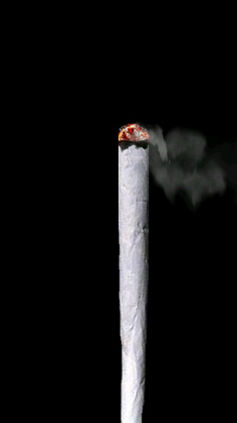 Cigarettoid - Preview 5