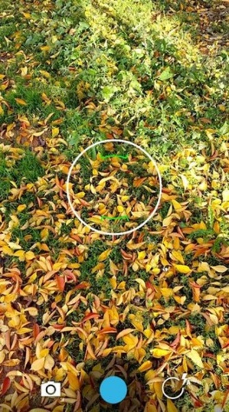 Nexus Camera: KitKat Camera - Preview 2