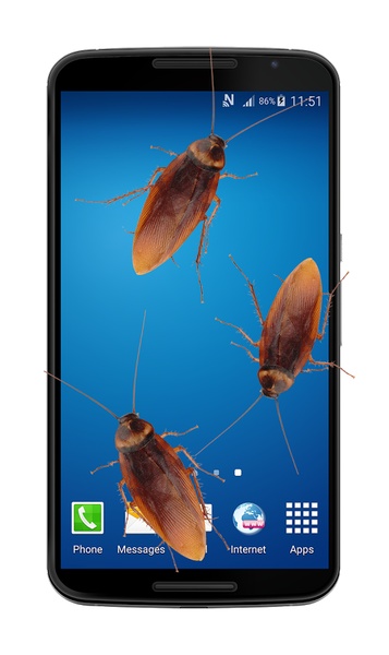 Cockroach in phone - Preview 1