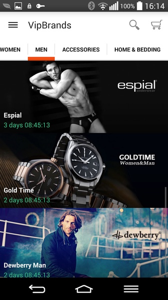 VipBrands - Preview 7
