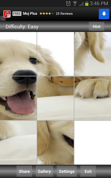 Jigsaw Puzzle: Cute Animals - Preview 3