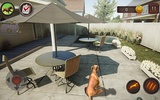 Dachshund Dog Simulator screenshot 3
