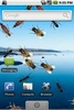 Live Wallpaper Creepy Crawlies screenshot 2