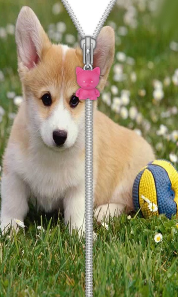 Cute Puppy Zip Screen Lock - Preview 2