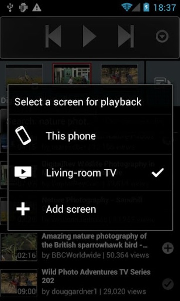 YouTube Remote - Preview 2