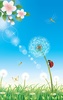 Dandelion Live Wallpaper screenshot 3