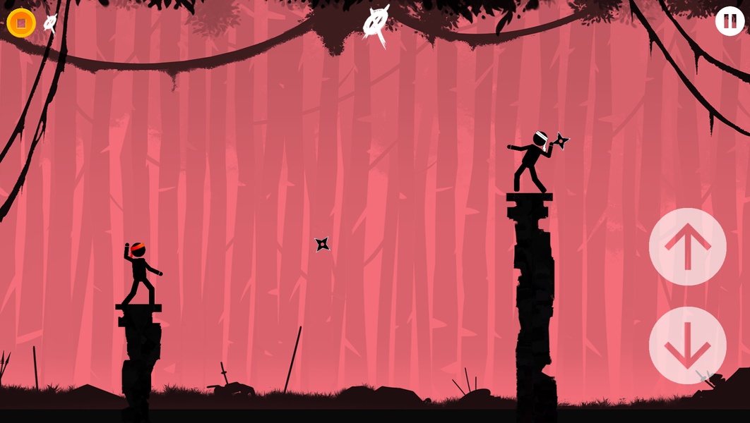 The Ninja - Preview 8