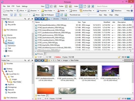 Directory Opus screenshot 3