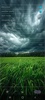 Weather Earth screenshot 3