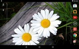 Garden Live Wallpaper screenshot 1