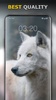 Wolf Wallpaper HD: Backgrounds screenshot 7