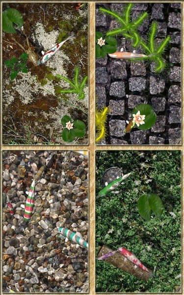 PocketPond2 - Preview 4