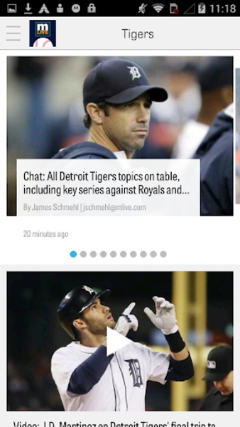 Tigers - Preview 4