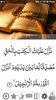 Visual Quran - With translatio screenshot 5
