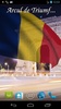 Romania Flag screenshot 7