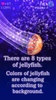 Jellyfish Friends screenshot 13