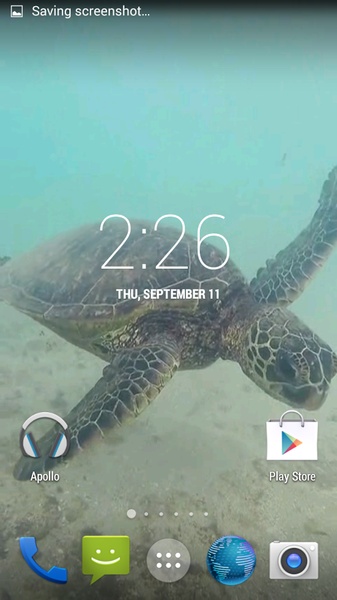Sea Turtle HD. Wallpaper - Preview 5