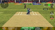 Pakistan T20 Cricket League screenshot 1