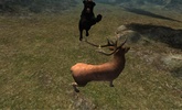 Real Panther Simulator screenshot 5