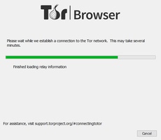Tor browser for windows скачать hydra лучшие магазины по продаже семян конопли