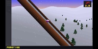 Deluxe Ski Jump 2 screenshot 13
