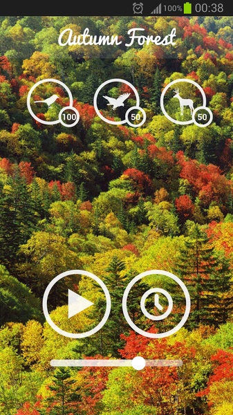 Forest Sounds - Preview 7