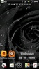 Black Rose live wallpapers screenshot 6