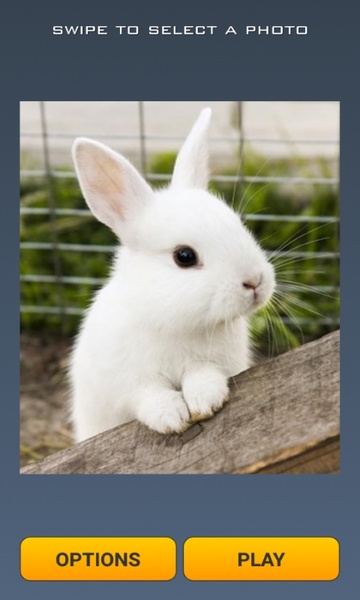 Cute Rabbits Puzzle - Preview 6