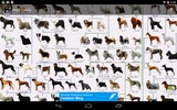 Dog Breeds screenshot 2